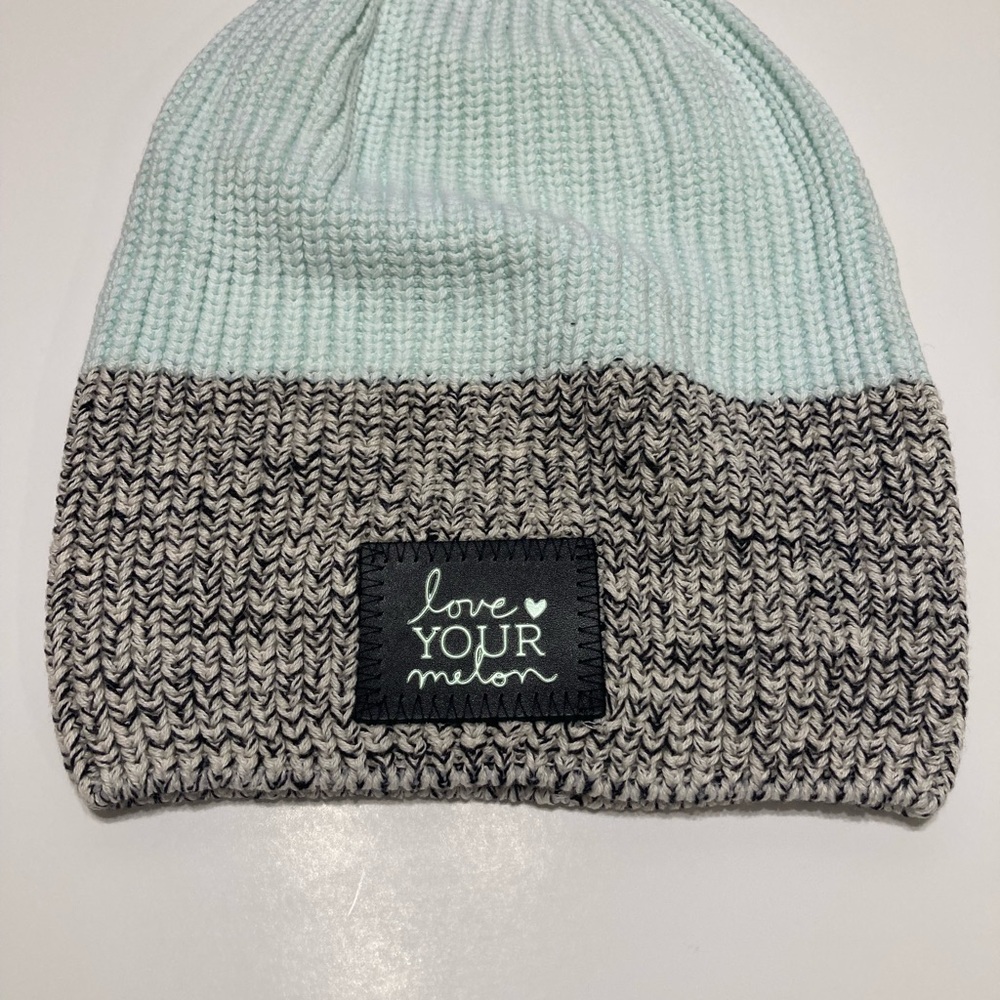 Love your melon beanie NWT mint/gray
